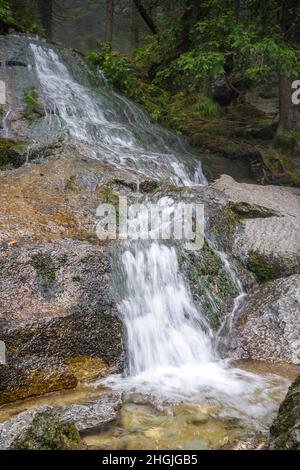 Wasserfall im Wald des Nationalparks hohe Tatra, Slowakei, Europa. Stockfoto