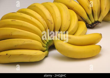 Bananenbündel von den Kanarischen Inseln Stockfoto