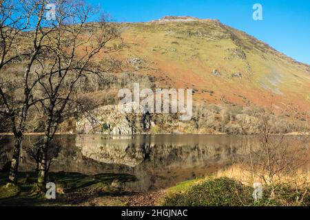 Llyn Gwynant, Lake Gwynant, Nantgwynant Valley, auf, ein, sonnig, blauer Himmel, wolkenlos, kalt, Winter, Winter, Tag, in, Januar, mit, ruhig, ruhig, Wetter, Bedingungen, mit, kein, Wind, ideal, für, Reflektionen, Reflektieren, auf, Körper, von, Wasser, stilles Wasser, See, Ländlich, Landschaft, landschaftlich, landschaftlich, sonnig, kalt, Winter, Winter, Winter, Winter, Tag, Tag, Tag Stockfoto