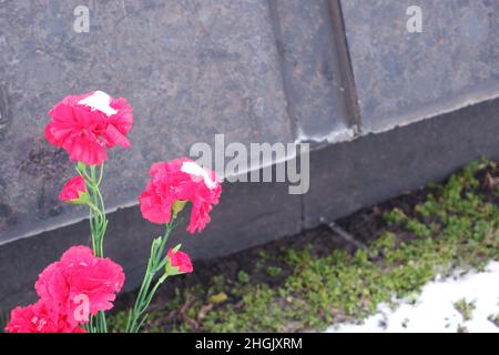 Brest, Weißrussland - 12. Januar 2022: Rote Nelken an der Gedenkstätte. Erinnerung an gefallene Soldaten. Mai 9 Stockfoto