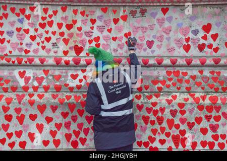 London, Großbritannien. 21st Januar 2022. Ein Freiwilliger malt Herzen an der National Covid-19 Memorial Wall.Freiwillige malen weiterhin neue Herzen und malen einige, die im Laufe der Zeit verblasst sind. Über 150.000 rote Herzen wurden bis heute an die Wand vor dem St. Thomas' Hospital gegenüber dem Parlamentsgebäude gemalt, eines für jedes Leben, das COVID-19 verloren hat. Kredit: SOPA Images Limited/Alamy Live Nachrichten Stockfoto