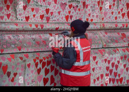 London, Großbritannien. 21st Januar 2022. Ein Freiwilliger malt Herzen an der National Covid-19 Memorial Wall.Freiwillige malen weiterhin neue Herzen und malen einige, die im Laufe der Zeit verblasst sind. Über 150.000 rote Herzen wurden bis heute an die Wand vor dem St. Thomas' Hospital gegenüber dem Parlamentsgebäude gemalt, eines für jedes Leben, das COVID-19 verloren hat. Kredit: SOPA Images Limited/Alamy Live Nachrichten Stockfoto