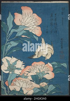 Katsushika Hokusai, herausgegeben von Nishimuraya Yohachi (Eijudō) - Pfingstrosen und Kanarienvogel (Shakuyaku, kanaari), aus einer Serie ohne Titel, bekannt als kleine Blumen Stockfoto