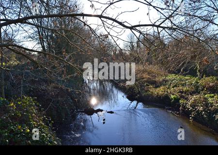 River Pool, ein Nebenfluss der Ravensbourne und der Themse, in Catford an einem Wintertag. Der Radweg verbindet Greenwich-Beckenham über Lewisham. Stadtstrom Stockfoto