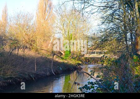River Pool, ein Nebenfluss der Ravensbourne und der Themse, in Catford an einem Wintertag. Der Radweg verbindet Greenwich-Beckenham über Lewisham. Stadtstrom Stockfoto