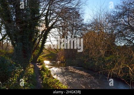 Hazel-Kätzchen-Bahnstrecke zwischen Hayes und Lewisham im River Pool Linear Park, Catford. Beliebte Rad- und Wanderroute zwischen Beckenham und Stockfoto