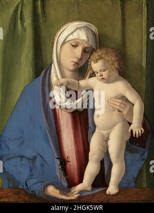 Madonna col bambino - Öl auf Leinwand 62 × 47 cm - mwxBellini Giovanni Stockfoto