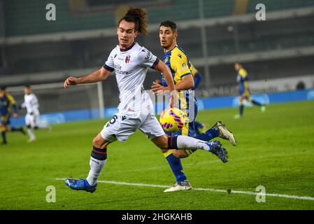 Verona, Italien. 21st Januar 2022. Marcantonio Bentegodi Stadium, Verona, Italien, 21. Januar 2022, Bologna Arthur Theate während Hellas Verona FC vs Bologna FC - italienische Fußballserie A Spiel Kredit: Live Media Publishing Group/Alamy Live News Stockfoto