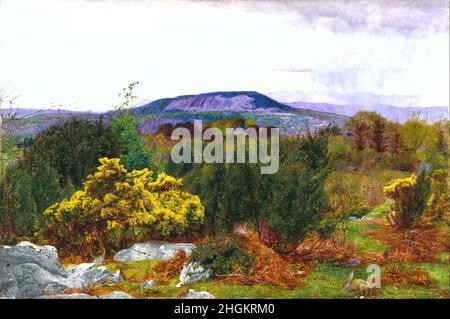 Daniel Alexander Williamson - Frühling, Arnside Knoten und Coniston Reihe von Hügeln aus Warton Crag Stockfoto