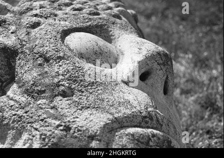 Große Skulptur von mans Gesicht im Freien. Eines von mehreren Exponaten, die im Skulpturenpark Fruitlands ausgestellt sind. Harvard, Massachusetts Stockfoto