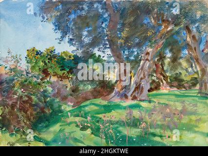Olivenbäume, Korfu - 1909 - acquisello 35,6 x 50,8 cm - Sargent John Singer Stockfoto