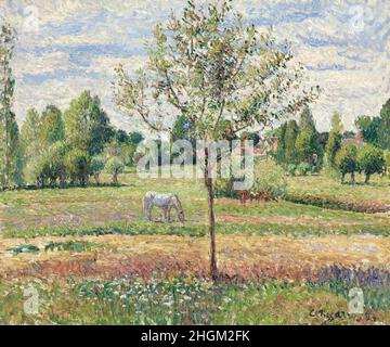 Pissarro Camille - Privatsammlung - Le pré avec cheval gris, Eragny - 1893 - Öl auf Leinwand 54 x 65 cm Stockfoto