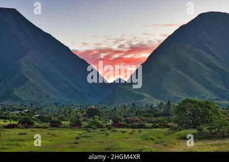 Sonnenaufgang auf der Wiese auf Maui mit den westlichen maui Bergen. Stockfoto