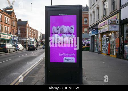 London, Großbritannien. 19th Januar 2022. Eine digitale Anzeige von Reed.co.uk, die in London gezeigt wird. Kredit: SOPA Images Limited/Alamy Live Nachrichten Stockfoto