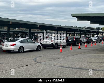 Autofahrer stehen sich auf einer Fahrt durch das Coronavirus COVID-19-Testgelände am East Los Angeles College an, während einer Flut der Omikron-Variante, Montag, 16. Januar 2022, im Monterey Park, Kalif. Stockfoto