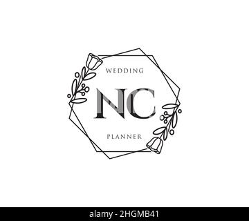 Feminines NC-Logo. Verwendbar für Natur, Salon, Spa, Kosmetik und Beauty Logos. Flaches Vektor-Logo-Design-Template-Element. Stock Vektor