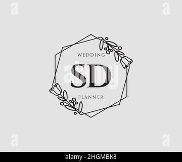 Feminines SD-Logo. Verwendbar für Natur, Salon, Spa, Kosmetik und Beauty Logos. Flaches Vektor-Logo-Design-Template-Element. Stock Vektor