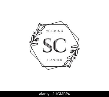 Feminines SC-Logo. Verwendbar für Natur, Salon, Spa, Kosmetik und Beauty Logos. Flaches Vektor-Logo-Design-Template-Element. Stock Vektor