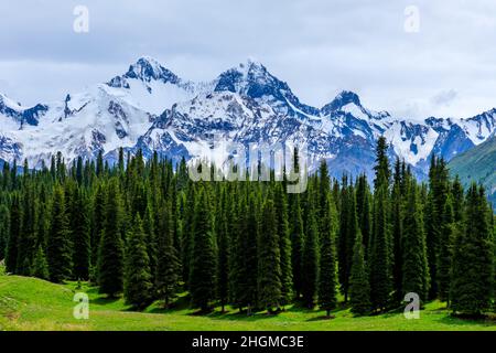 Wunderschöne Schnee Berg- und Waldlandschaft Stockfoto