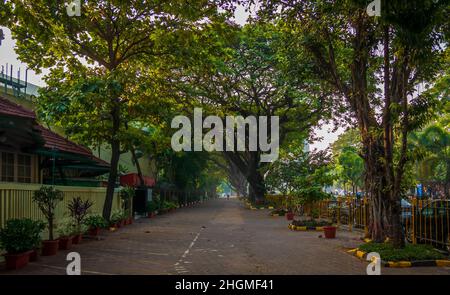 MUMBAI, INDIEN - November 26, 2021 : Fußweg der gehobenen Nachbarschaft in Mumbai mit gewölbten Ästen bedeckt. Nebliger Morgen. Stockfoto