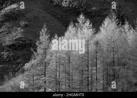 Schwarz-Weiß Epische Landschaft mit Sonnenaufgangslicht über Blea Tarn im Lake District mit atemberaubendem Licht auf fernen Bergen Stockfoto