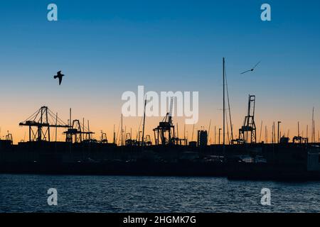 Segelyachten werden im Winter im Hafen von Valencia in Spanien vertäut. Eine leichte Brise brennt eine kleine Welle bei Sonnenuntergang. Hohe Masten gegen den Backgro Stockfoto