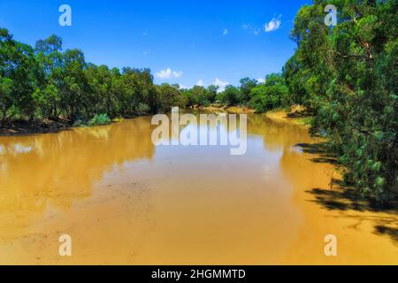 Wasserlauf des Darling River in den australischen Outback-Ebenen in der Nähe der Stadt Wilcannia in Far West. Stockfoto