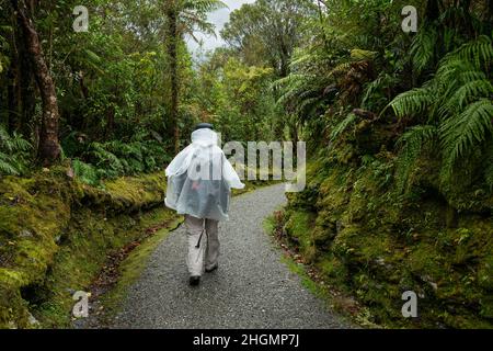 Ein Tourist, der im Regen am Douglas Walk, Franz Josef Glacier, South Island, spazierengeht. Stockfoto