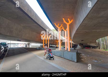 Aspire by Warren Langley, glühende goldene Bäume scheinen zu wachsen und unterstützen das enorme Gewicht der Autobahnstruktur in Ultimo, Sydney Stockfoto