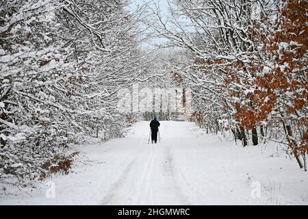 Ein Skilanglauffahrer fährt in einer verschneiten Landschaft. Natur Hintergrund - Sport und Outdoor-Aktivitäten im Winter. Stockfoto