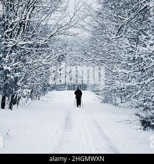 Ein Skilanglauffahrer fährt in einer verschneiten Landschaft. Natur Hintergrund - Sport und Outdoor-Aktivitäten im Winter. Stockfoto