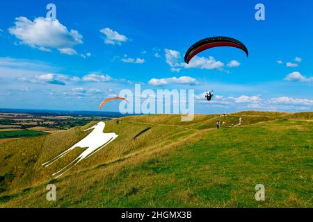 Hängen Segelflieger an Westbury White Horse Kreidefigur Wiltshire Sommertag blauer Himmel einige weiße Wolken kopieren Raum weißes Pferd in Bild Stockfoto