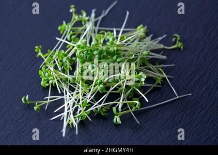 Gartenkresse bereit zum Essen Stockfoto