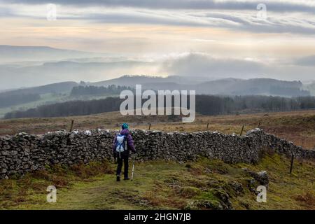 Ein Wanderer auf Hutton-Dachschroppen liegt in der Nähe von Burton-in-Kendal mit einer Temperaturinversion im Hintergrund Stockfoto