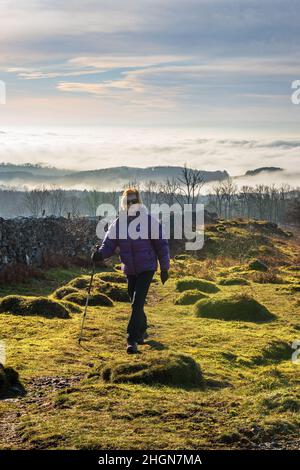 Ein Wanderer auf Hutton-Dachschroppen liegt in der Nähe von Burton-in-Kendal mit einer Temperaturinversion im Hintergrund Stockfoto