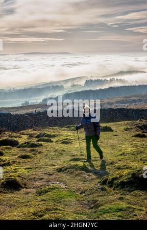 Wandern auf den Hutton Roof Crags in der Nähe von Burton in Kendal Cumbria Stockfoto