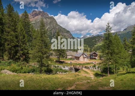 Typisches Steinhaus auf der Alpe Devero, Piemont mit Bäumen und Bergen im Hintergrund Stockfoto