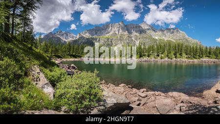 Lago Nero Alpensee auf der Alpe Devero Italien mit Bäumen und Felsen im Vordergrund Stockfoto