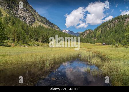 Lago delle Streghe Alpensee auf der Alpe Devero Italien mit Bäumen und klarem Wasser im Vordergrund Stockfoto