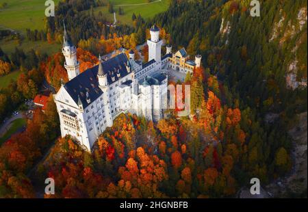 Berühmtes Schloss Neuschwanstein in Herbstfarben, Deutschland, Bayern, Hohenschwangau Stockfoto