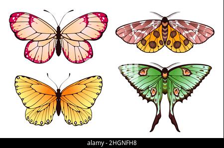 Frühlingsschmetterlinge fliegen mit gemusterten farbigen Flügeln. Vektor Tier fliegen, fliegen Frühling Insekten geflügelt verschiedene Illustration Stock Vektor