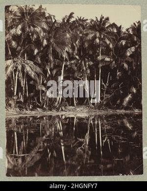 Tetiaroa - UN lagon des Paumotu 1880s oder 1890s Charles Spitz Französisch. Tetiaroa - UN lagon des Paumotu. Charles Spitz (Französisch, aktiv 1880s–90s). 1880s oder 1890s. Albumin-Druck. Fotos Stockfoto