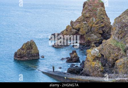 Die malerische Bucht von Pettico Wick (der Fels) ist schwer zugänglich und gehört zum Naturschutzgebiet St. Abbs Head in Berwickshire, Schottland Stockfoto