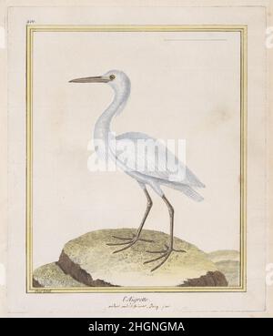 L'Aigrette (Egret) 1770–86 François Nicolas Martinet Dieses handkolorierte Bild stammt aus 'Histoire Naturelle des Oiseaux', einem berühmten Band, herausgegeben von Georges Louis Leclerc, le comte de Buffon (1707-1788), Intendant du Jardin des Plantes du ROI (Leiter der königlichen botanischen Gärten) unter Louis XV Ursprünglich wurde das Projekt als Teil der umfangreichen weltweiten Buffon-Naturgeschichte „Histoire Naturelle, Générale et Particulière“ konzipiert, die 1749 begonnen wurde. Wie mit handfarbigen Tafeln von Martinet veröffentlicht, wurde das Set zu einem unabhängigen Satz, der 1771-86 veröffentlicht wurde. Durch Gelb gekennzeichnet Stockfoto