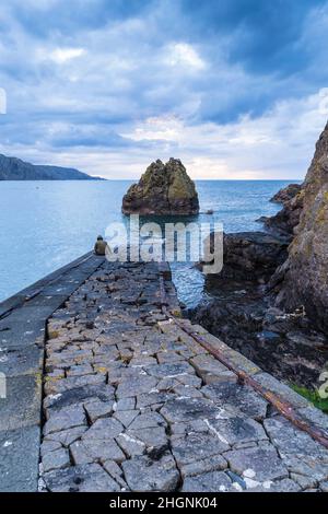 Die malerische Bucht von Pettico Wick (der Fels) ist schwer zugänglich und gehört zum Naturschutzgebiet St. Abbs Head in Berwickshire, Schottland Stockfoto