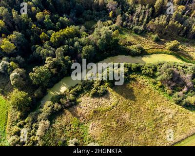 Sumpfiger Oxbow Lake, Luftaufnahme Stockfoto