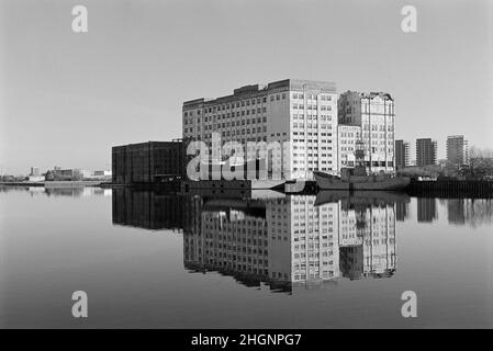 Verkommen Spillers Millennium Mills Gebäude am Royal Victoria Dock, Silvertown, in London Docklands, Großbritannien Stockfoto