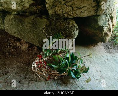 Moderne heidnische Opfergabe von verschlungenem Laub und Beeren, die in der neolithischen Grabkammer von Lligwy, Moelfre, Anglesey, Nordwales, untergebracht sind Stockfoto
