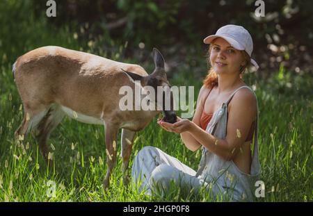 Einheit mit der Natur. Mädchen füttern Hirsch. Umweltschutz. Tierpflege. Frau, die das Rehkitz füttert. Tierpark. Stockfoto