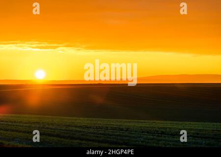 Wunderschöne Morgenlandschaft mit Sonnenuntergang über jungen grünen Getreidefeldern Stockfoto